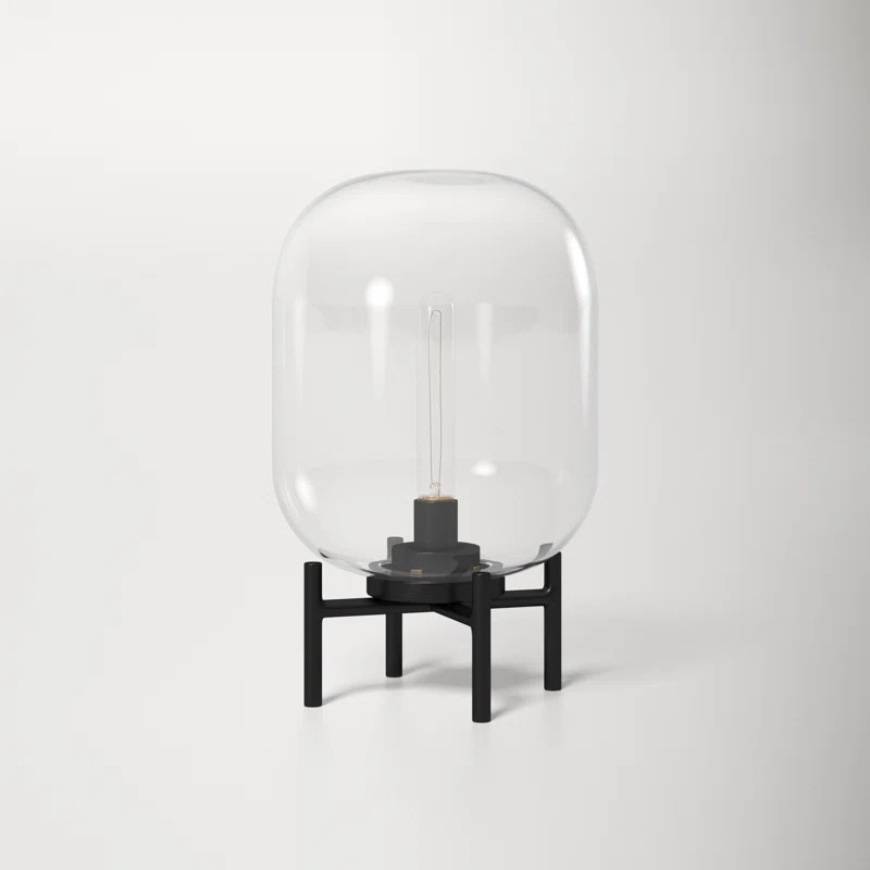 Danae Metal Novelty Lamp | Wayfair North America