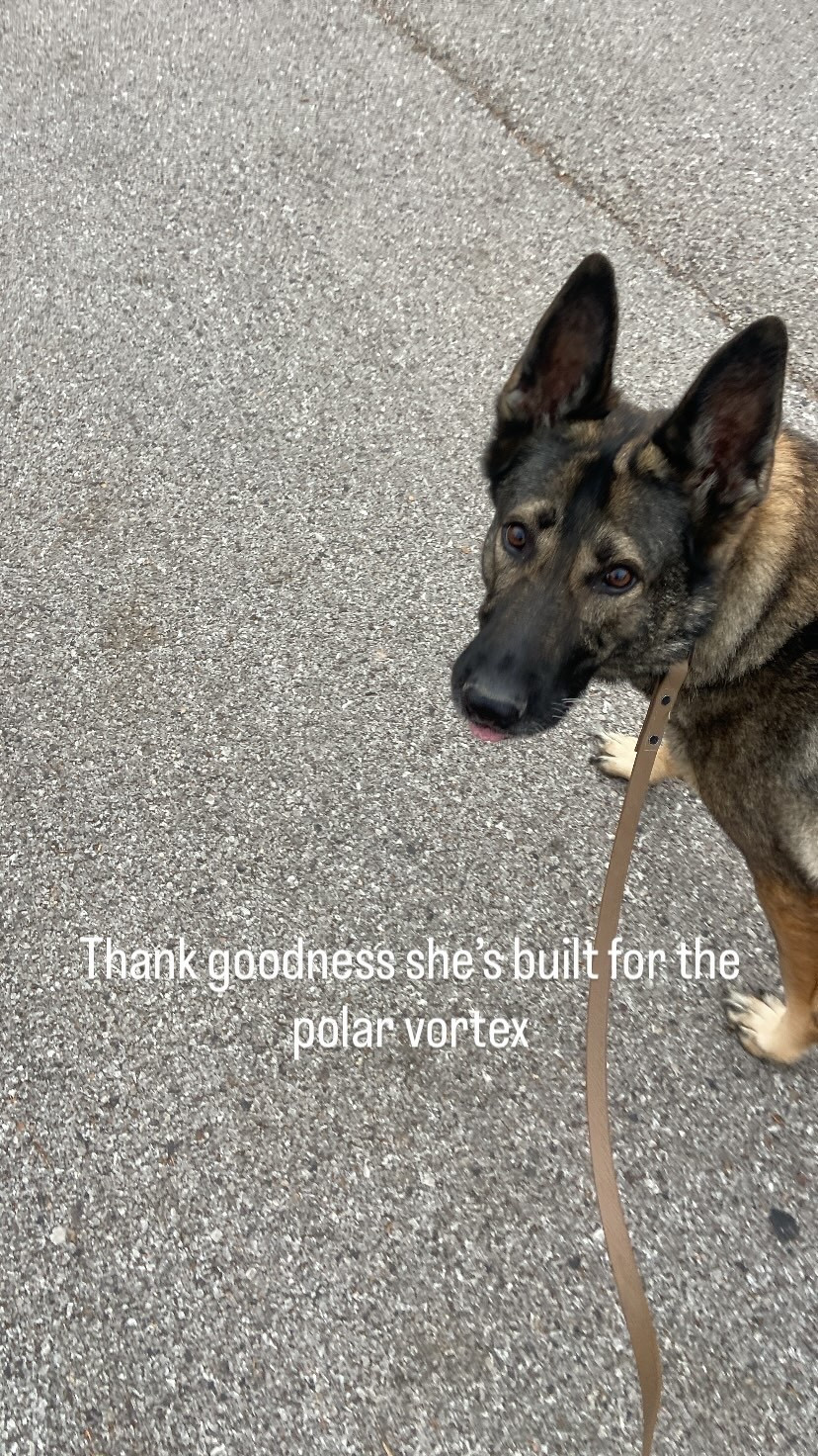 Thank goodness she’s built for the polar vortex