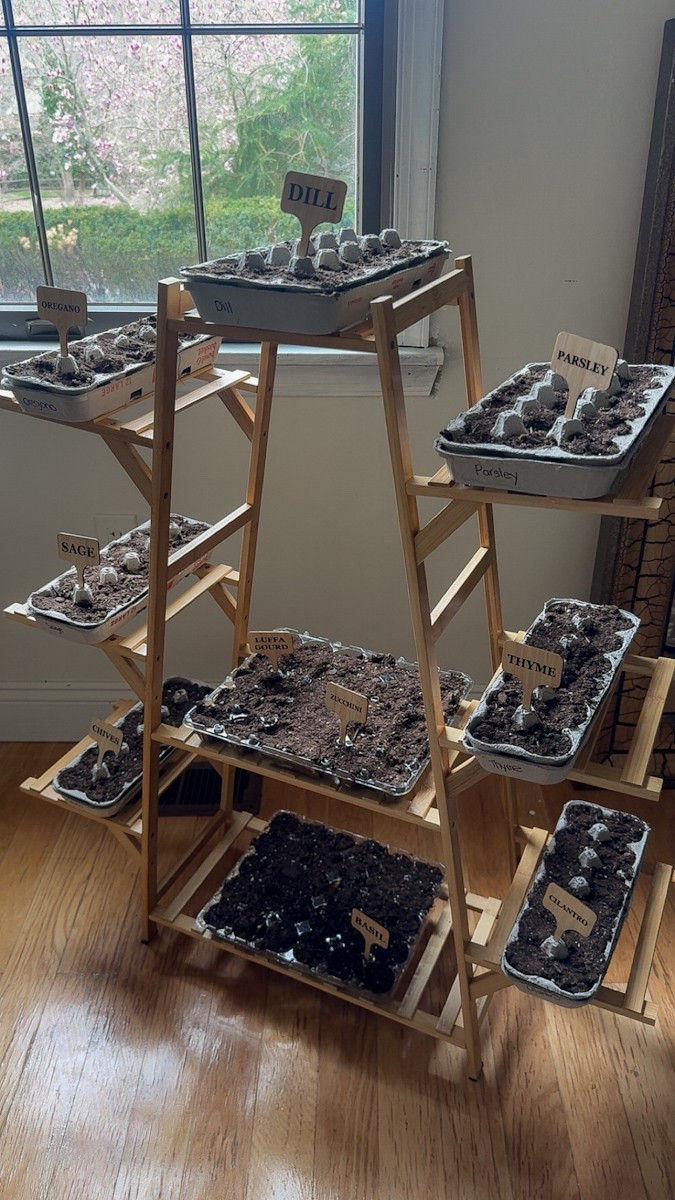 I love spring time and growing my own herbs and vegetables! Over the winter I have everyone save me their egg cartons so I can use them to start my seeds. I found this bamboo shelf on Temu for a great price. I also found these cute bamboo plant label sign tags on Amazon and used the Cricut to cut out the names of the herbs. Follow me on Pinterest to see how they turn out! I will be transferring them to large garden boxes once they grow!

#garden #plants #shelf #aesthetic 

#LTKHome #LTKSeasonal #LTKFindsUnder100