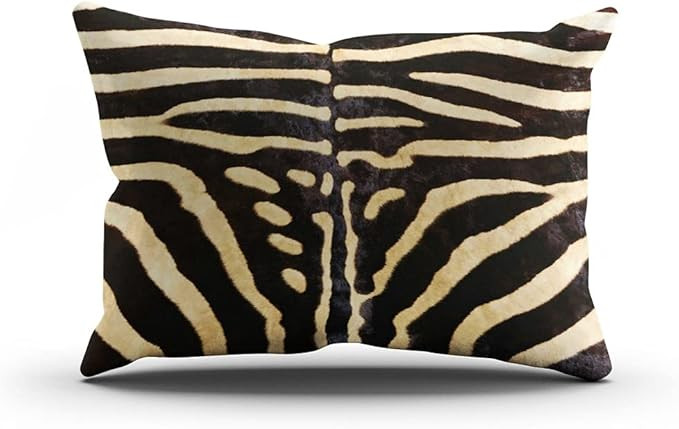 Brown Zebra Skin Pretty Hidden Zipper Home Decorative Rectangle Throw Pillow Cover Cushion Case 1... | Amazon (US)
