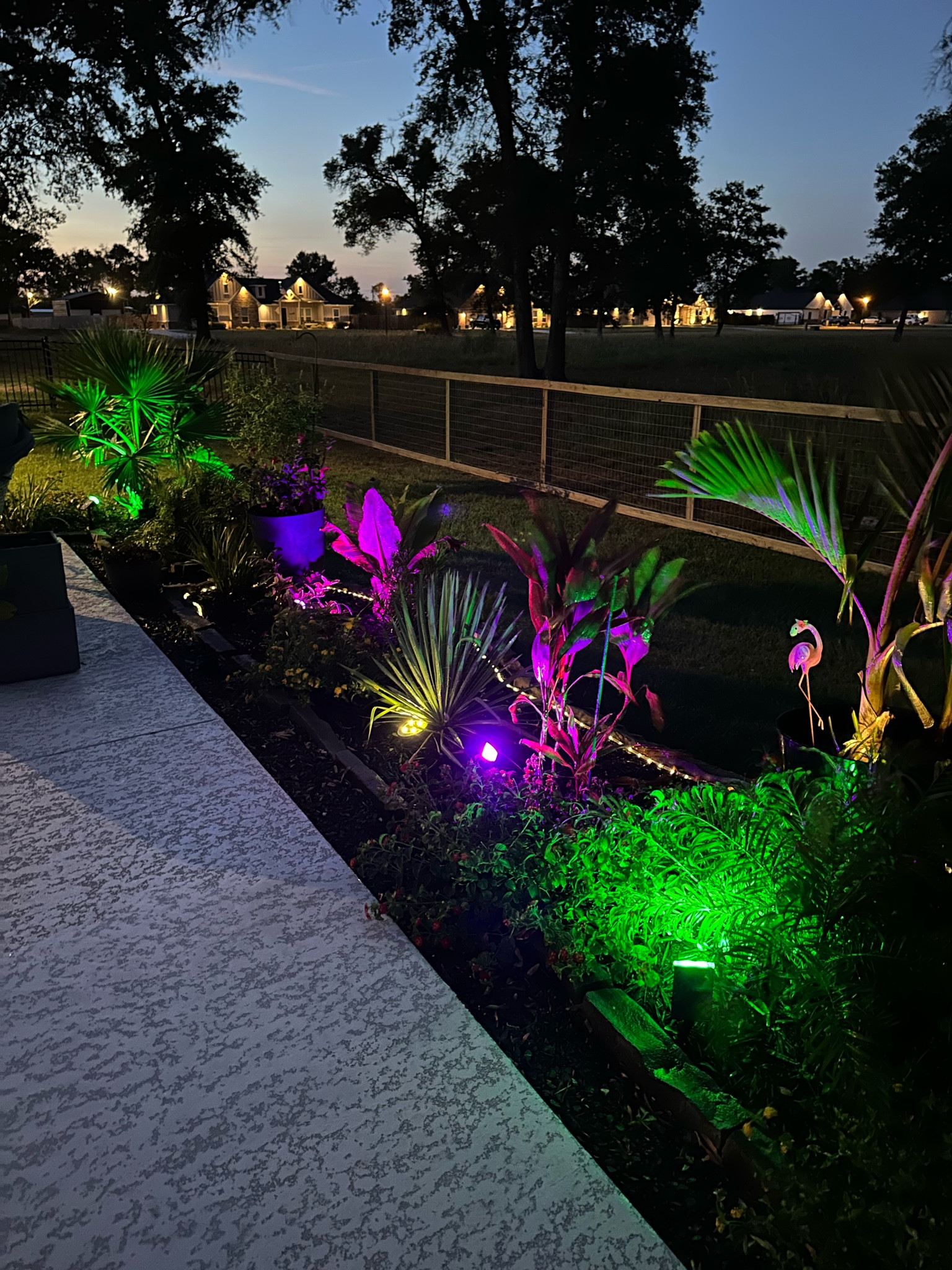 Love my Amazon solar spot lights! 

#LTKSwim #LTKHome