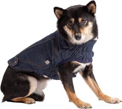 GF Pet Denim Dog Jacket, Blue Denim | Chewy.com