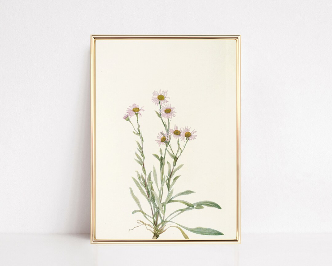 pink wall art | wildflower print | vintage botanical print | pink boho wall art | girls room deco... | Etsy (US)