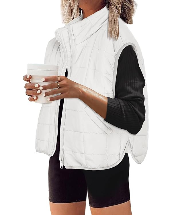 Zeagoo Womens Puffer Vest Ladies Sleeveless Zip Up Outerwear Warm Puffer Lightweight Down all Win... | Amazon (US)