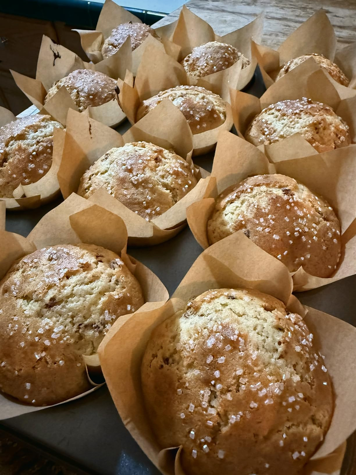 200pcs Natural Tulip Cupcake Liners for Baking Cups Unbleached European Parchment paper Tulip Muffin Liners, Cupcake Wrapper for Party, Christmas | Amazon (US)