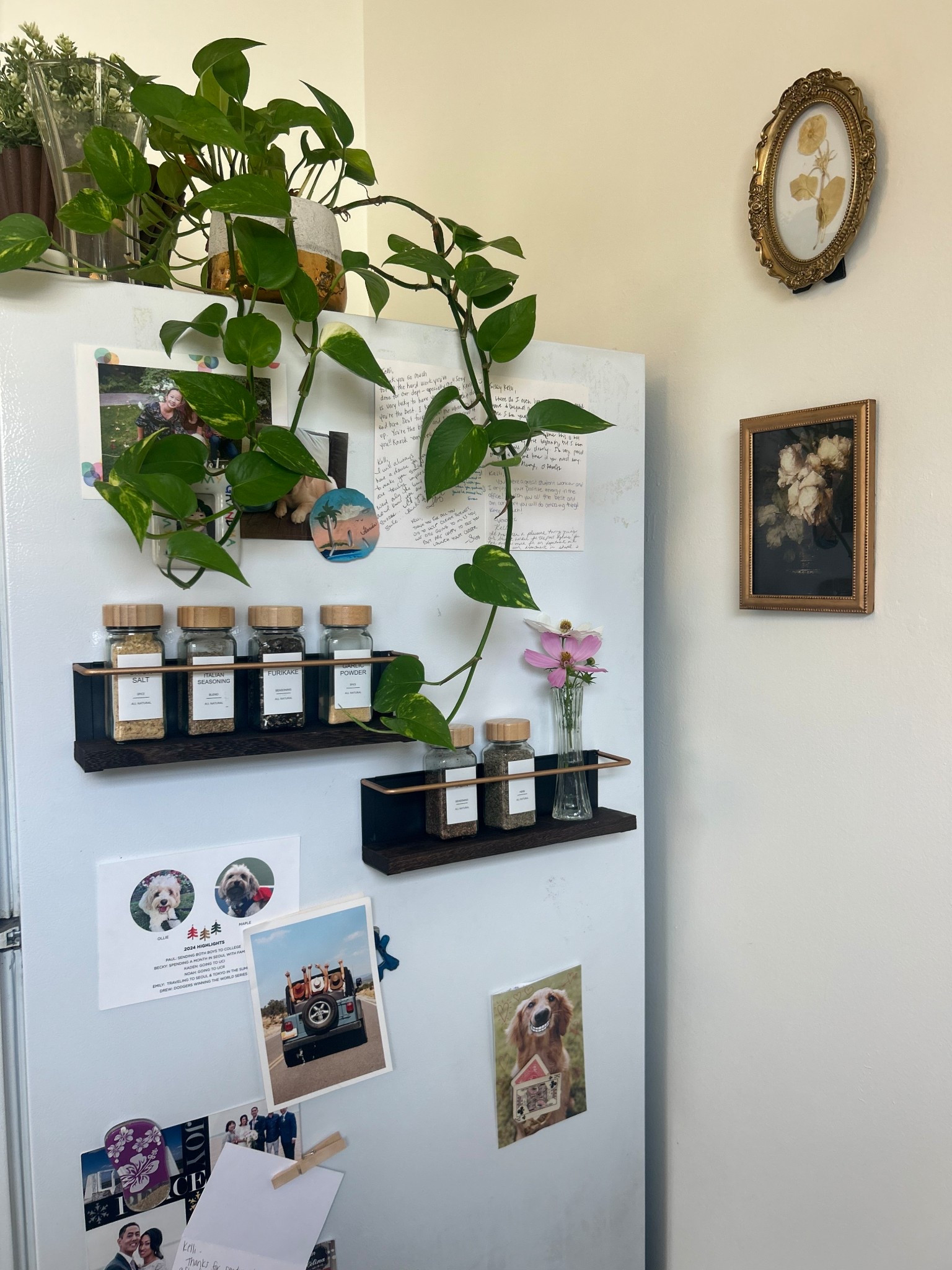 Magnetic shelves! Perfect for small Kitchens 😍#LTKFamily #LTKFindsUnder50

#LTKHome