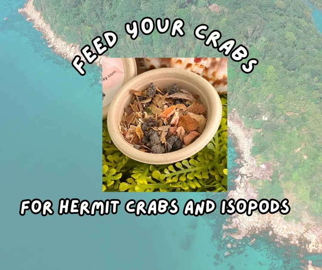 Hermit Crab Food, Winter Tundra Feast with Goat Spleen, Isopod Blend | Etsy (US)
