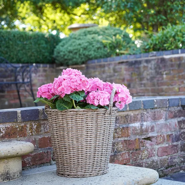 Polyrattan Lined Basket Plant Pot | Dunelm
