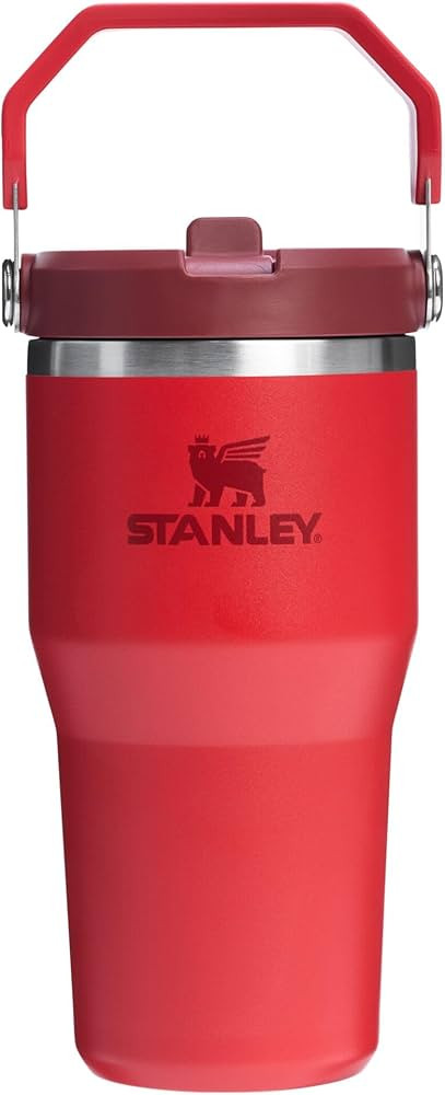 Stanley IceFlow Flip Straw Tumbler with Handle | Twist On Lid and Flip Up Straw | Leak Resistant ... | Amazon (US)
