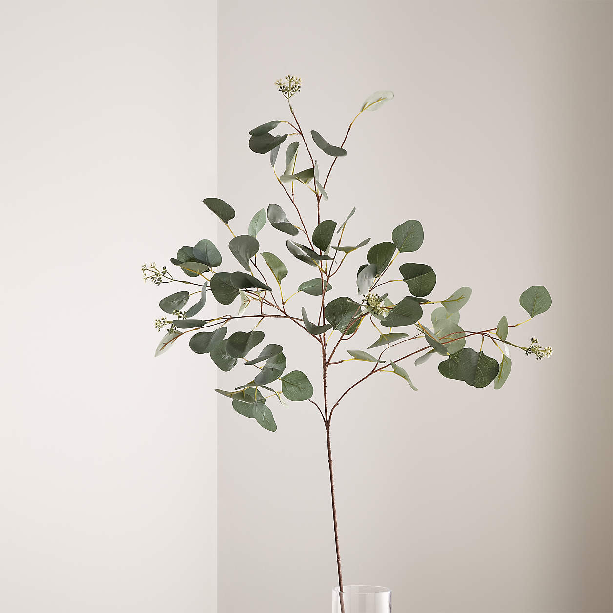 Small Faux Silver Dollar Eucalyptus Stem + Reviews | Crate & Barrel | Crate & Barrel