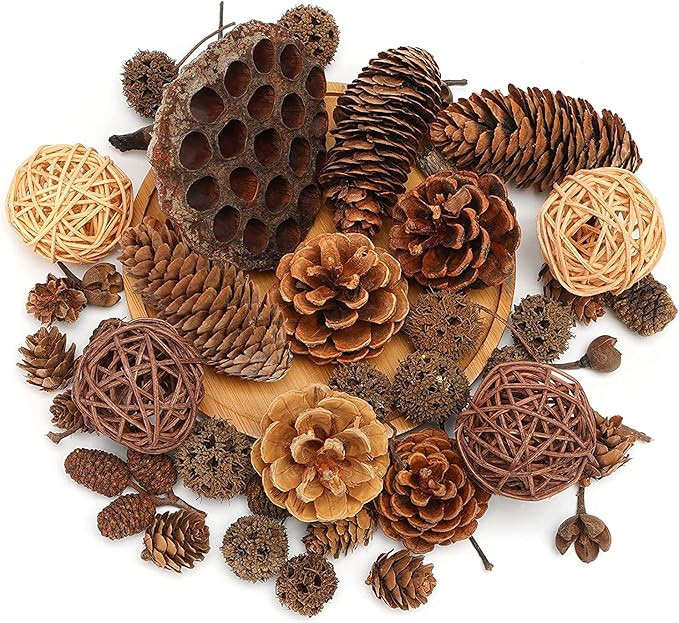 DomeStar 38PCS Pine Cone Set, Artificial Acorns Berry Craft and Natural Pinecones Ornament Pine P... | Amazon (US)
