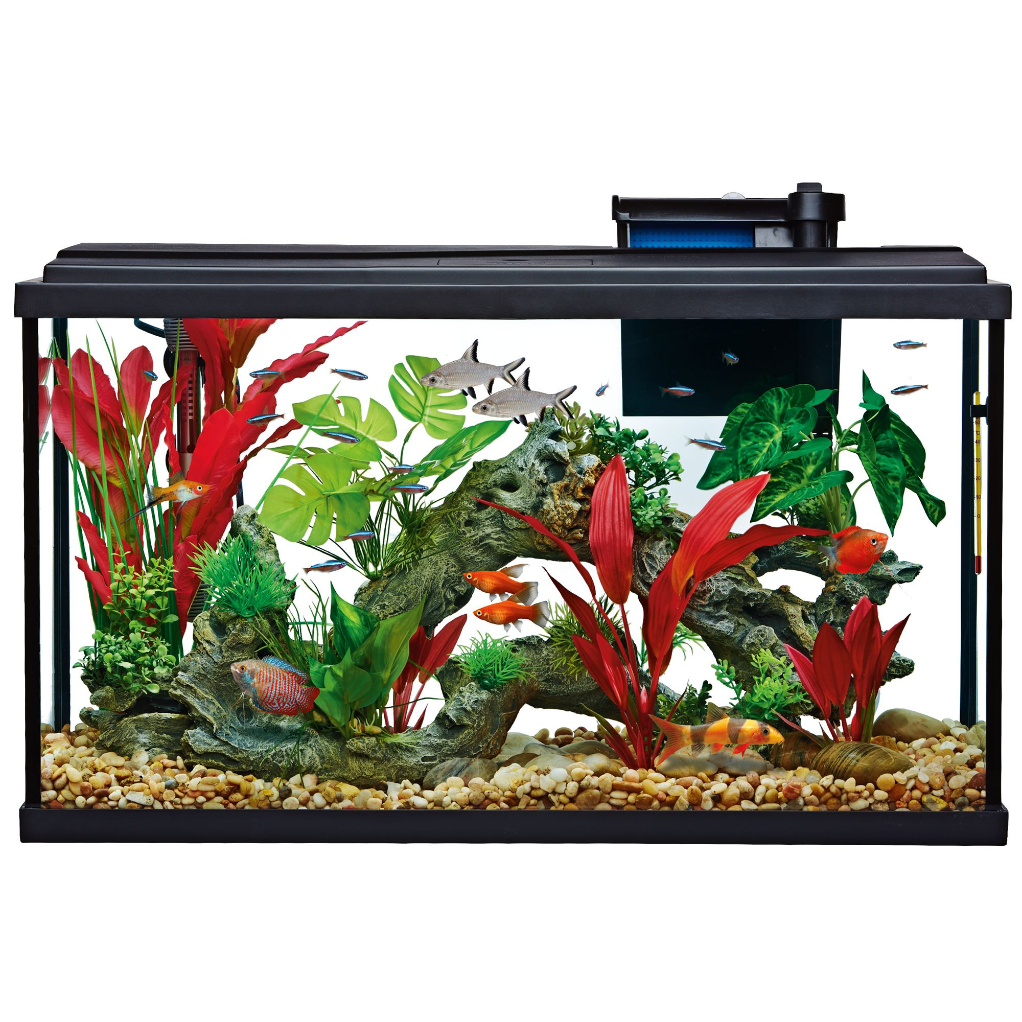 Top Fin® Essentials Aquarium Starter Kit | PetSmart