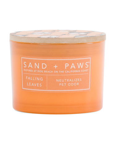 12oz Falling Leaves Candle | TJ Maxx