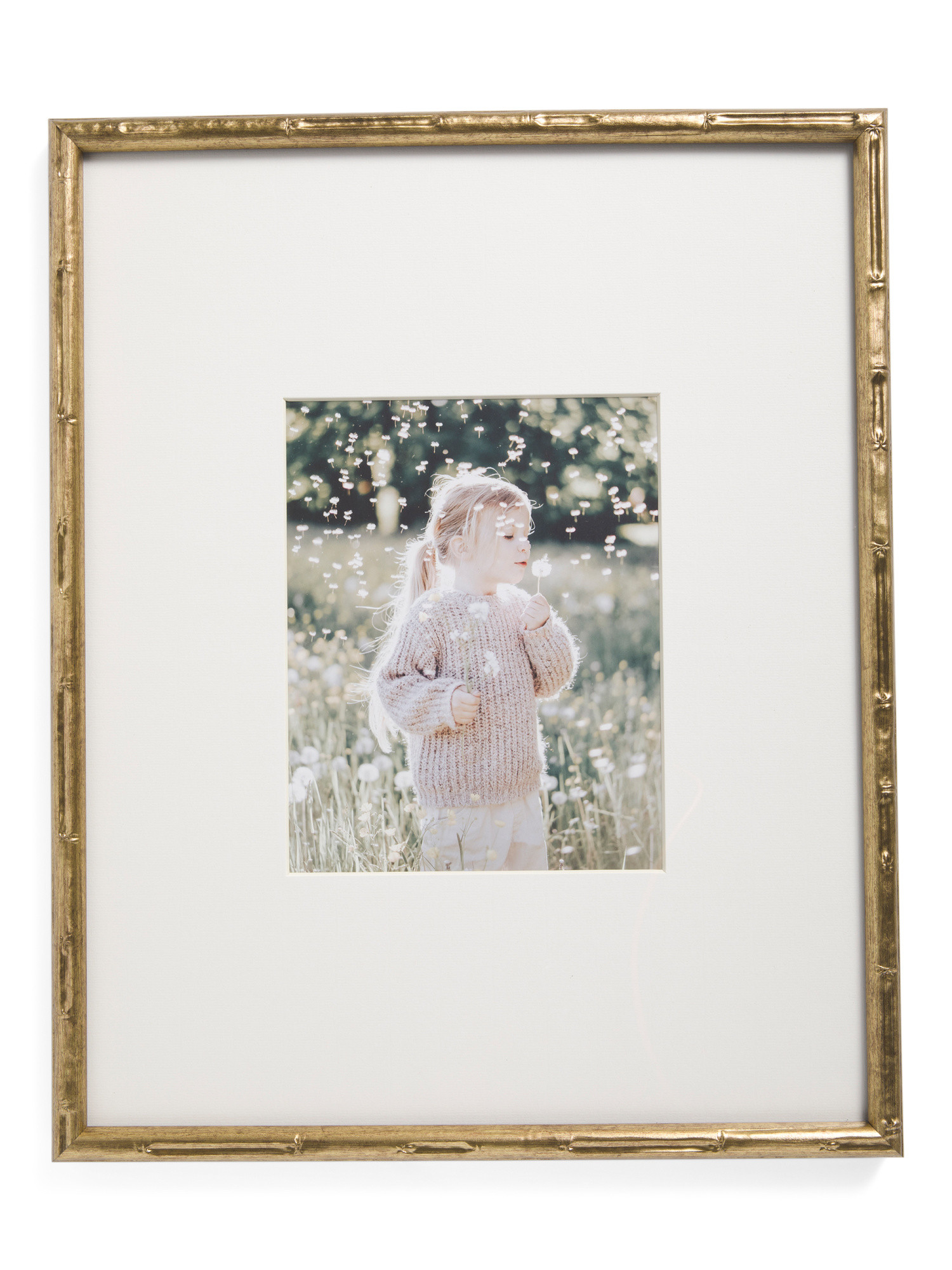 16x20 Matted To 8x10 Metallic Bamboo Wall Portrait Frame | Marshalls
