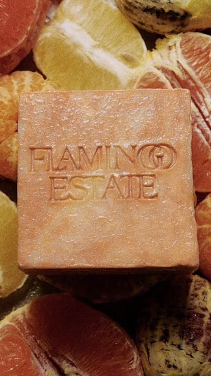 Luxury, but make it low-tox.
Flamingo Estate sources everything from regenerative farms that treat the soil better than most skincare brands treat their customers 😂🌿
No pesticides. No nasties. Just nature doing her thing beautifully.

#FlamingoEstate #LowToxLiving #SustainableLuxury #RegenerativeFarming #EcoChic

#LTKBeauty