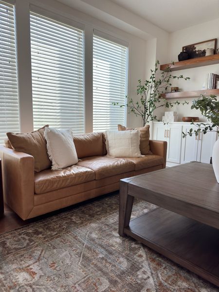 Wayday
Area rug 
Living room furniture 
Coffee table 
Leather sofa 

#LTKsalealert #LTKhome