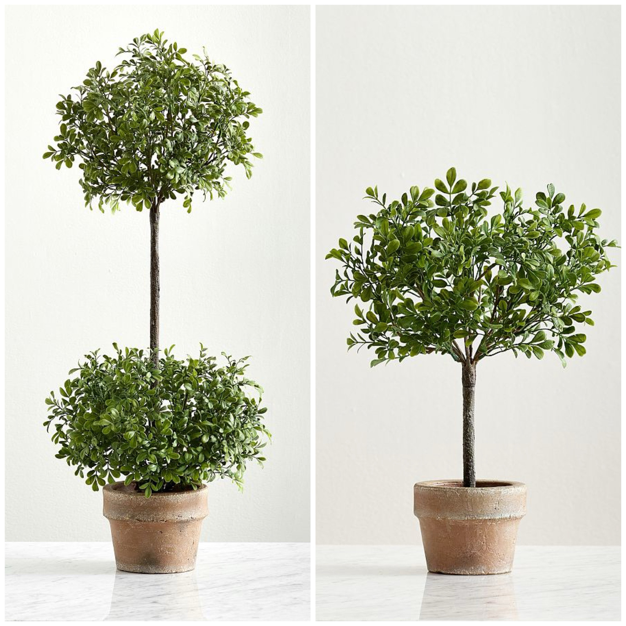 Pottery barn topiary 
Great quality, looks beautiful

#plant #topiary #fauxplant 

#LTKfindsunder100 #LTKhome #LTKsalealert