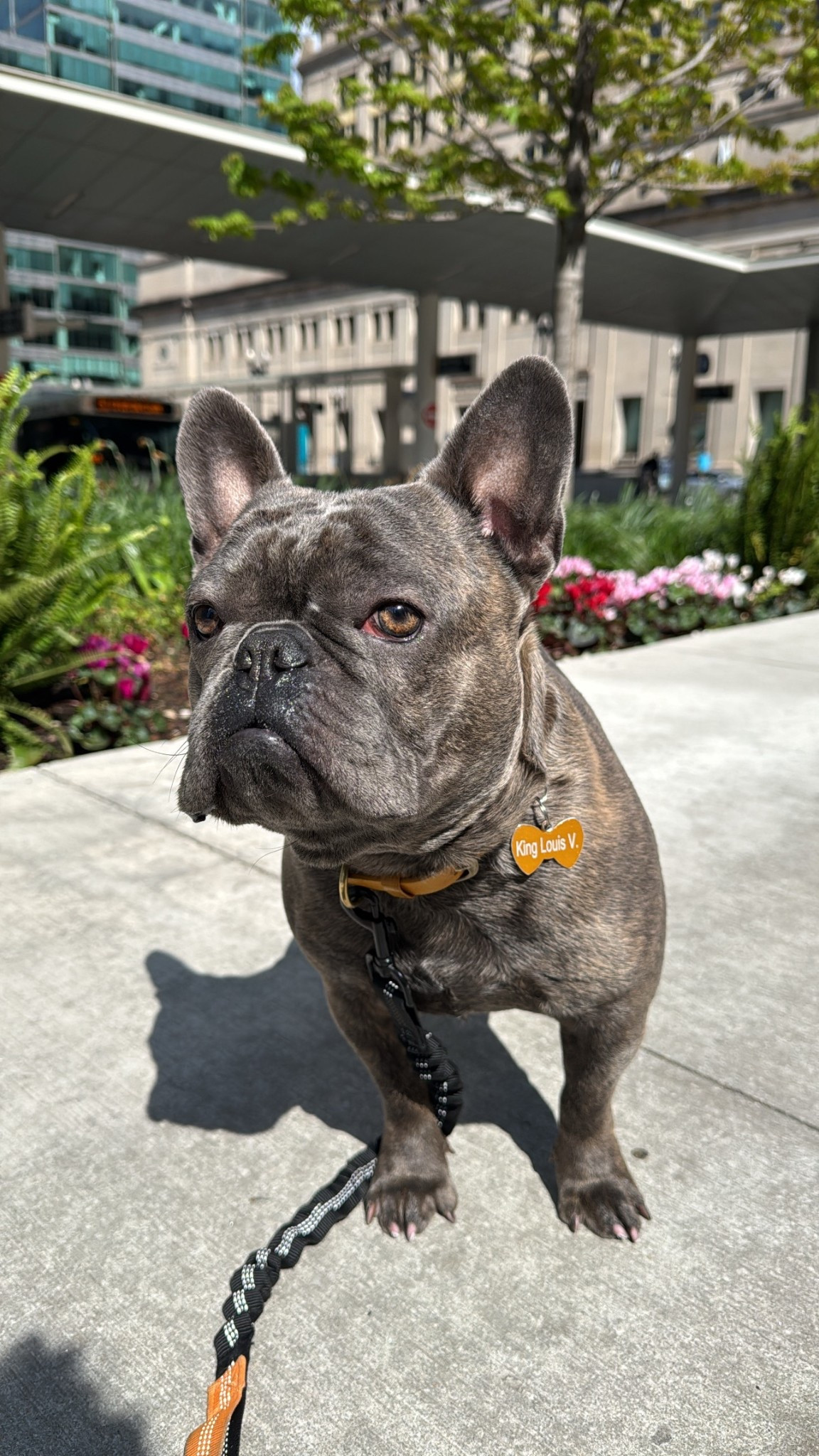 This is your sign to get a custom Pet ID tag for your furry baby 🥰🐾

pet finds, dog mom must haves, Amazon pet deals, pet products on sale, Prime Day pet picks, dog essentials, cat and dog deals, pet parent must haves, Amazon pet must haves, dog care favorites, pet favorites 2025

#LTKStyleTip #LTKPets