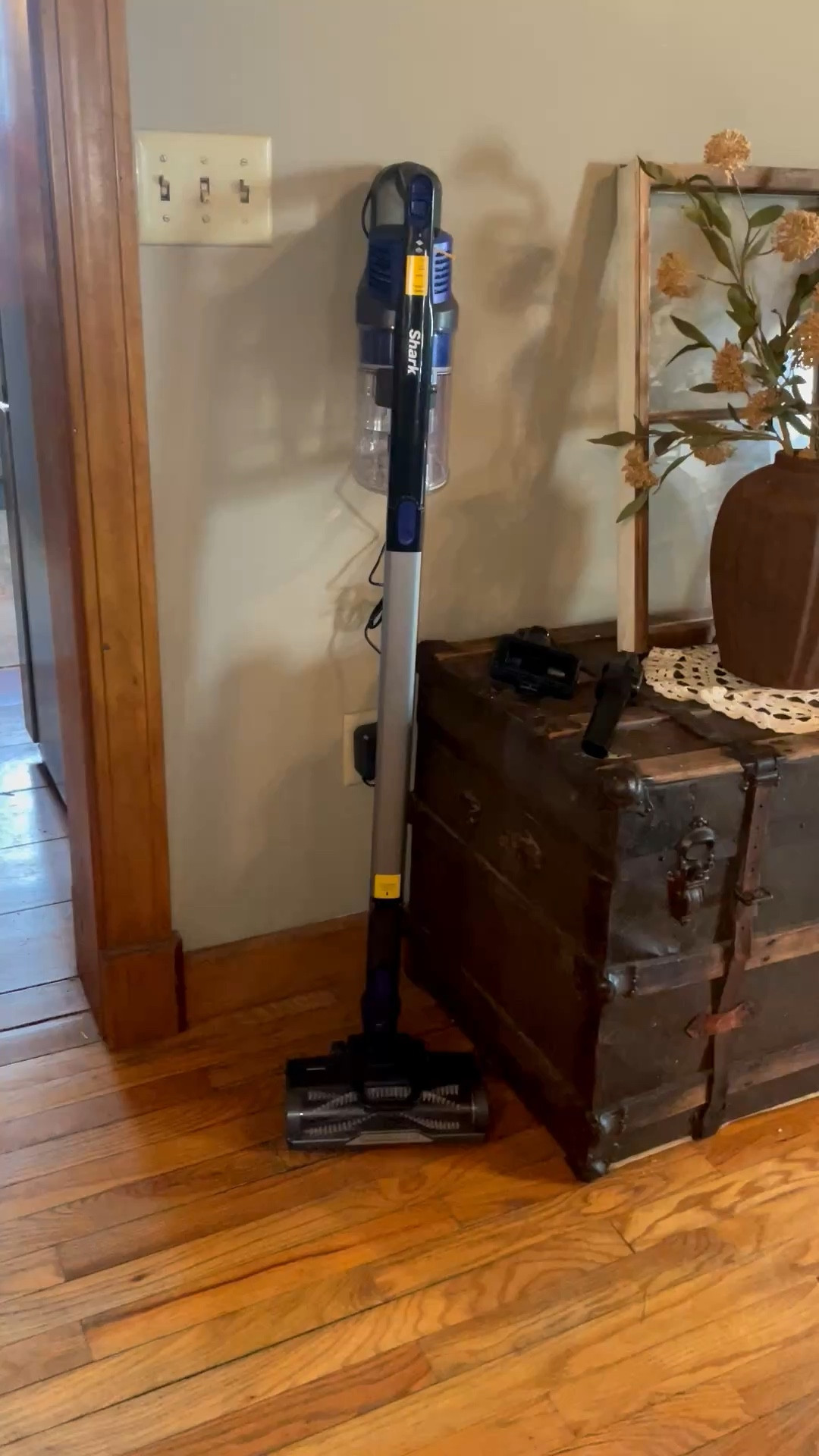 Wow!! So lightweight, easy to handle and put together. Just snagged this on sale. 50% off. Love my Sharks 🤎

#LTKSaleAlert #LTKHome