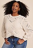 Plus Size Matte Chenille Sweater | Maurices