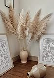 Extra Large Pampas Grass | 3 pcs. Extra Large Dried Pampas Grass 48" | Dried Flowers For Interior De | Amazon (US)