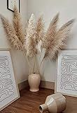 3 stems Extra Large Dried Pampas Grass 48" | Extra Large Pampas Grass | Dried Flowers For Interior D | Amazon (US)