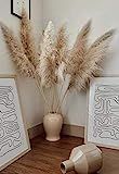 3 stems Extra Large Dried Pampas Grass 48" | Extra Large Pampas Grass | Dried Flowers For Interior D | Amazon (US)