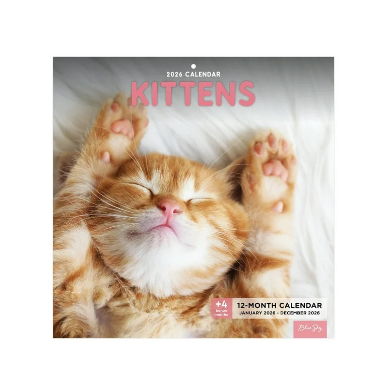 Blue Sky Monthly Stapled Calendar 12" x 12" Kittens (Jan 2026 - Dec 2026) | Walmart (US)