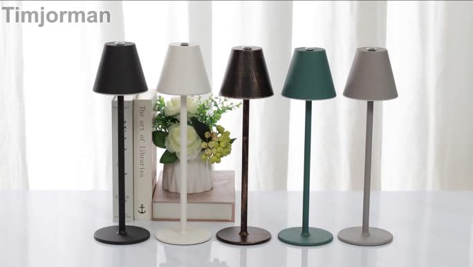 Timjorman Modern LED CordlessTable Lamp,4000mAh Rechargeable Battery Desk lamp,3 Level Brightness... | Amazon (US)