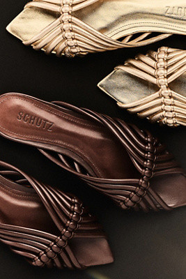 Schutz | Anthropologie (US)