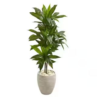 Real Touch 4 ft. Indoor Dracaena Artificial Plant in Sand Planter | The Home Depot