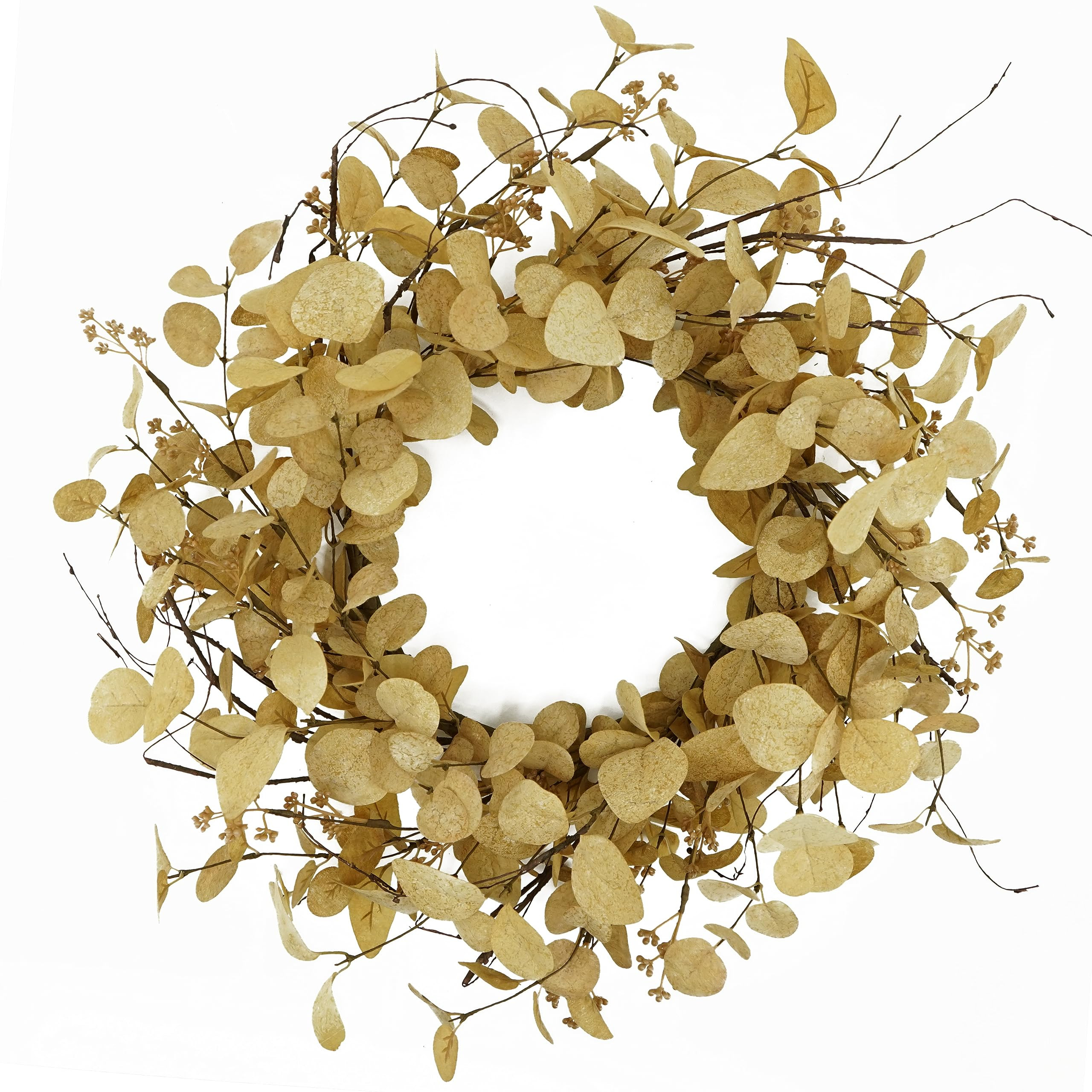 20 inch Artificial Fall Eucalyptus Wreath for Front Door with Beige Eucalyptus Leaves,Dry Vine Branc | Amazon (US)