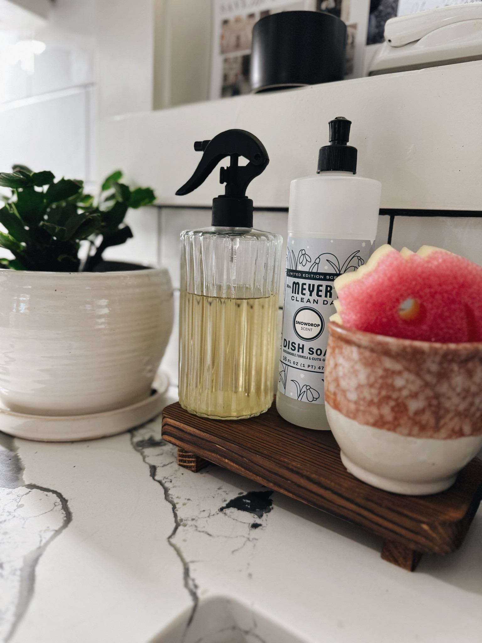 Sink essentials 🧽

#LTKFindsUnder50 #LTKFamily #LTKHome