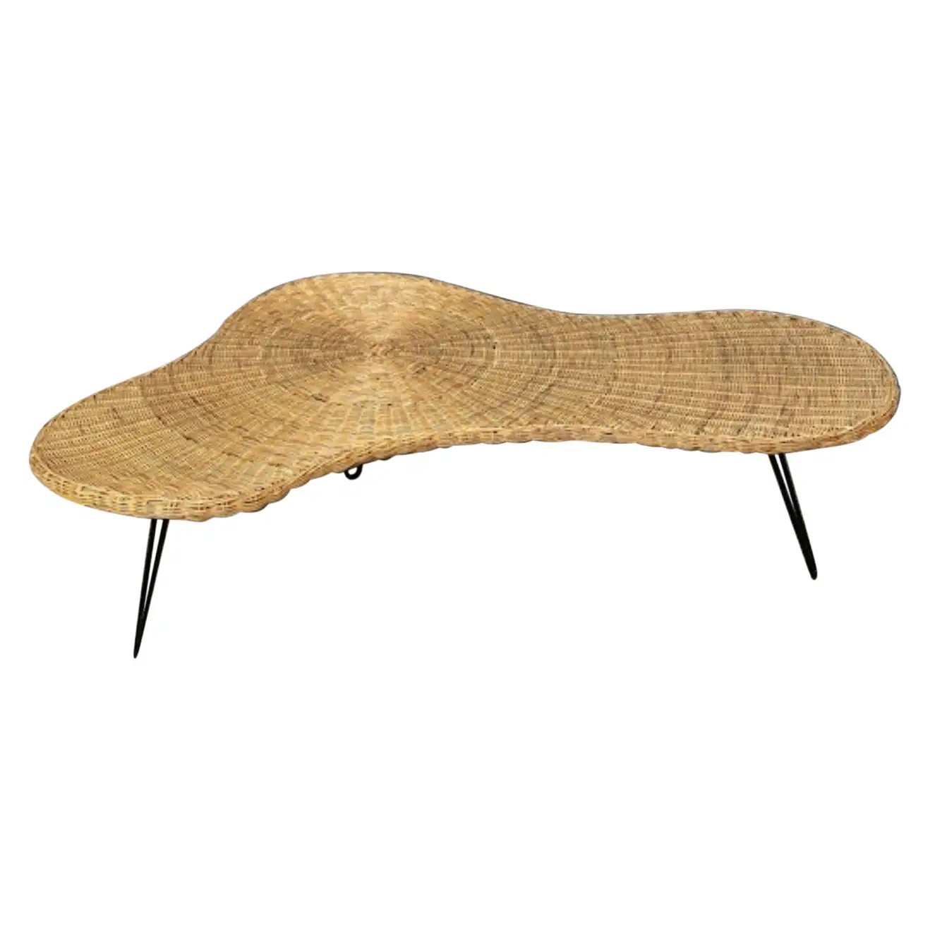 Rare MCM Biomorphic / Amoeba Wicker & Iron Cocktail /Coffee Table, France, 1950s | 1stDibs