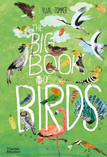 The Big Book of Birds      Hardcover – June 4, 2019 | Amazon (US)