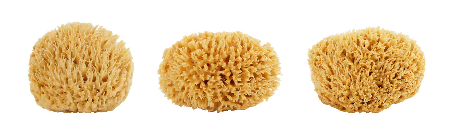 Sea Wool Sponge | Jayson Home