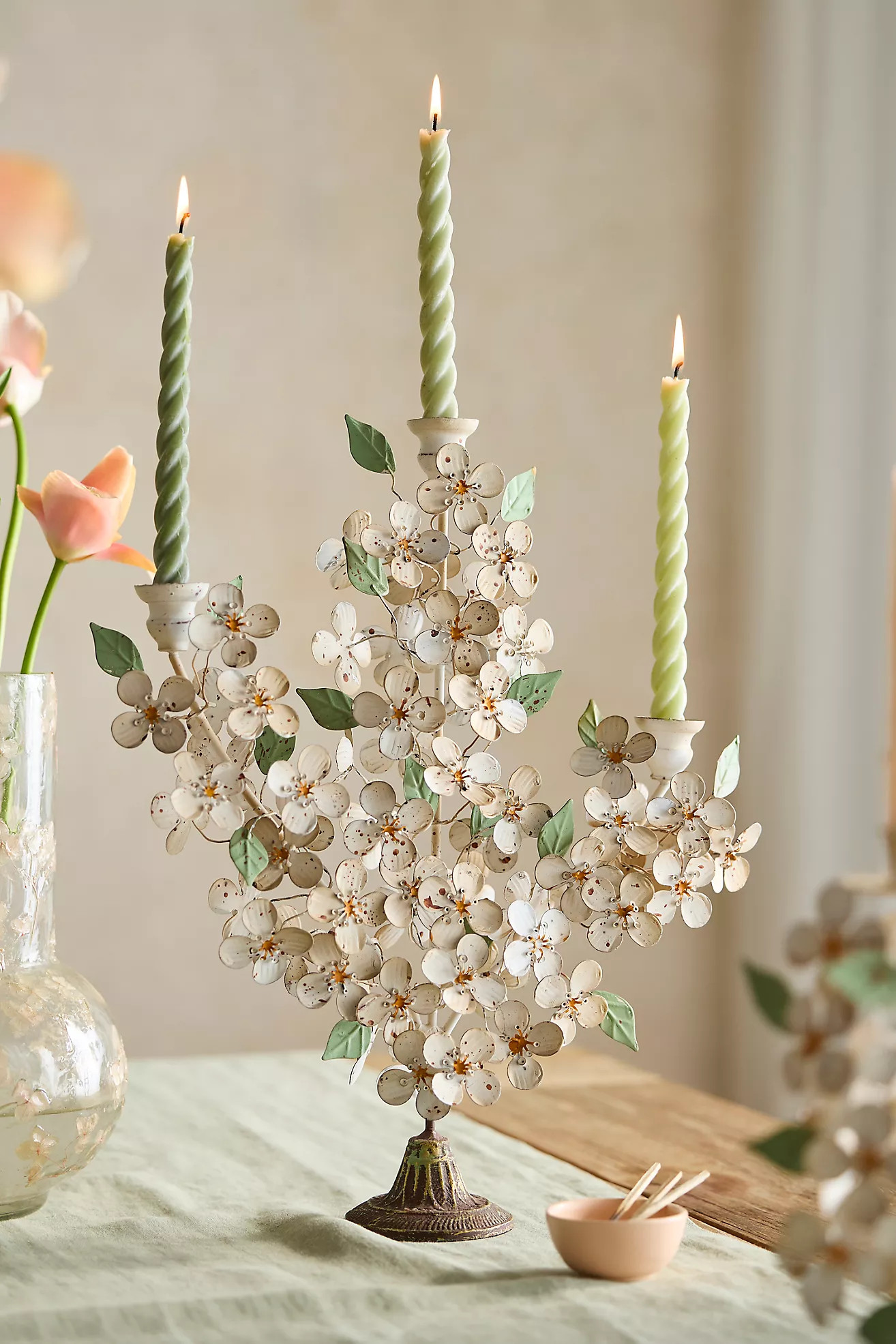 Dogwood Candelabra | Terrain