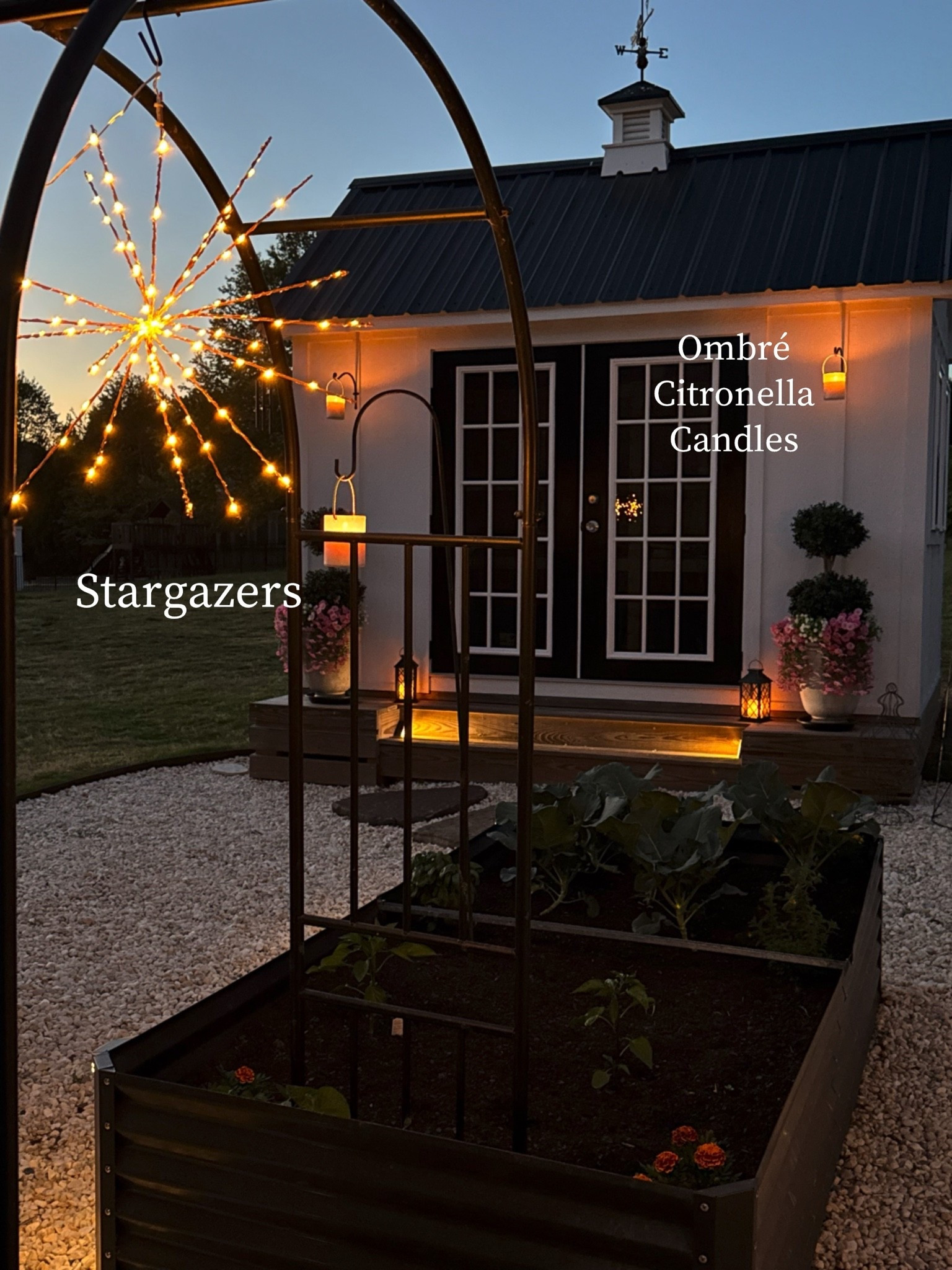 My garden has never looked so magical thanks to my Stargazers and Ombré Citronella Lanterns.

✨Stargazers are on sale right now!!

#LTKSeasonal #LTKHome #LTKstorytime