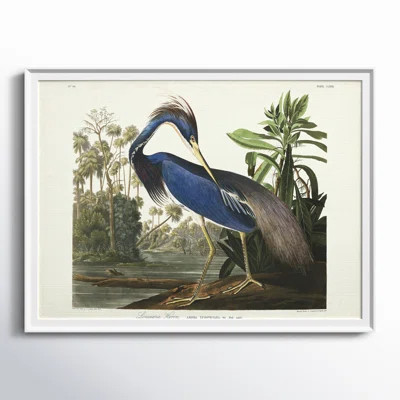 Louisiana Heron - Picture Frame Print on Canvas | Wayfair North America