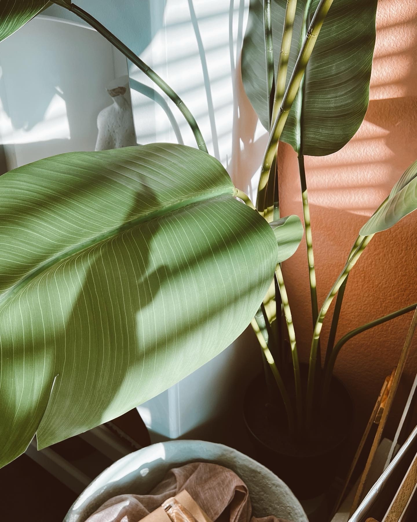 Favorite finds for the studio! 

#LTKhome 

#LTKGiftGuide