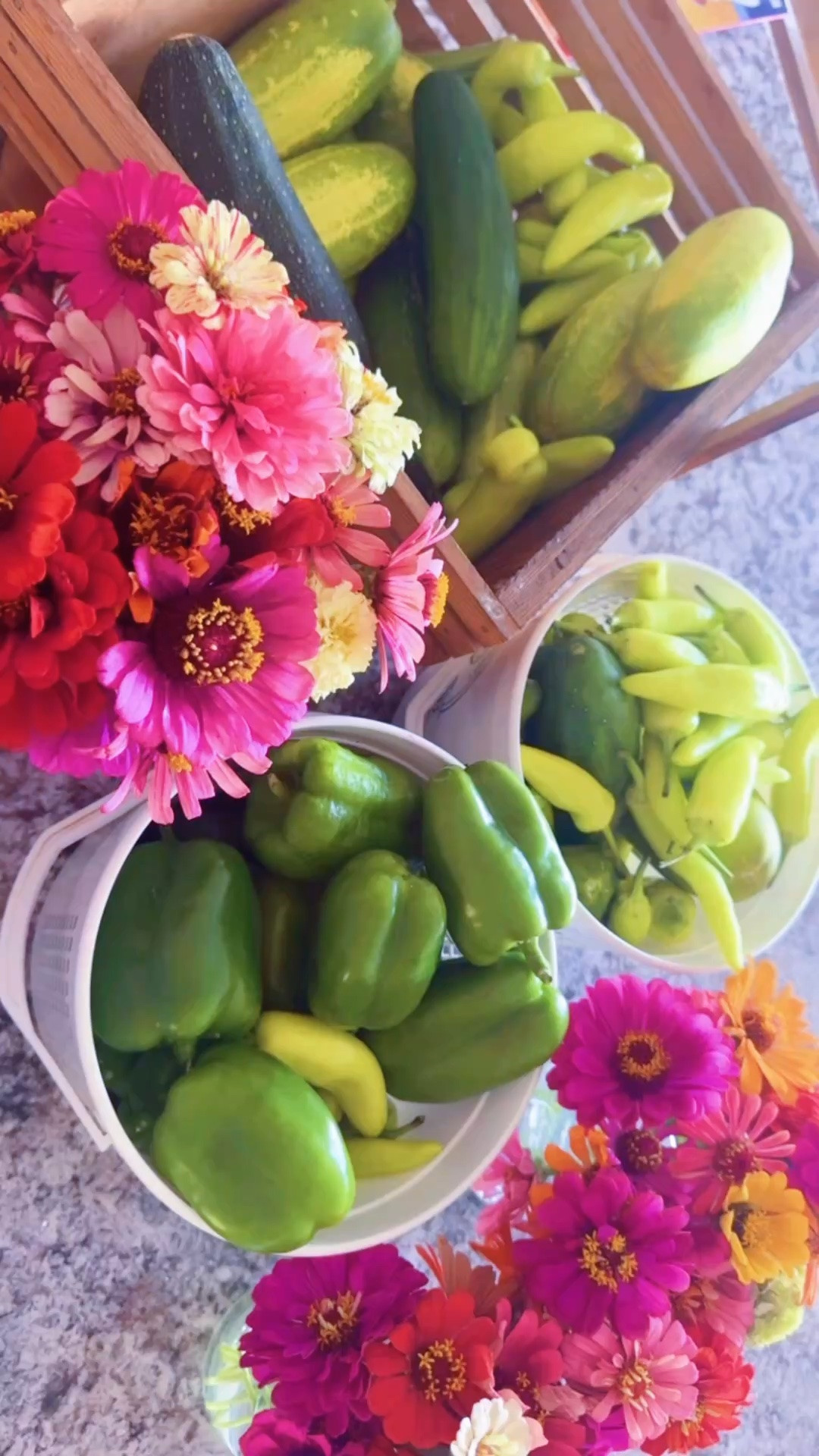 all the homegrown farm fresh goodness on my kitchen counter right now 💐👩‍🌾🥒🫑🌶️ - time to make some pickles 🥒 soon with all the cucumber (gave a ton to my sweet neighbor yesterday, but still have so many lol - let me know if you need some!!)