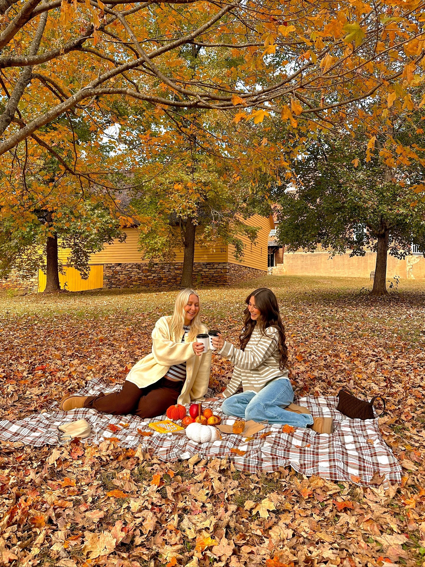 fall isn’t complete without having an autumn picnic 🍂🪵☕️🍎

#fallpicnic #falloutfitinspo #bumpstyle #pregnancyoutfit #fallaesthetics #autumnoutfitideas #autumnaesthetics