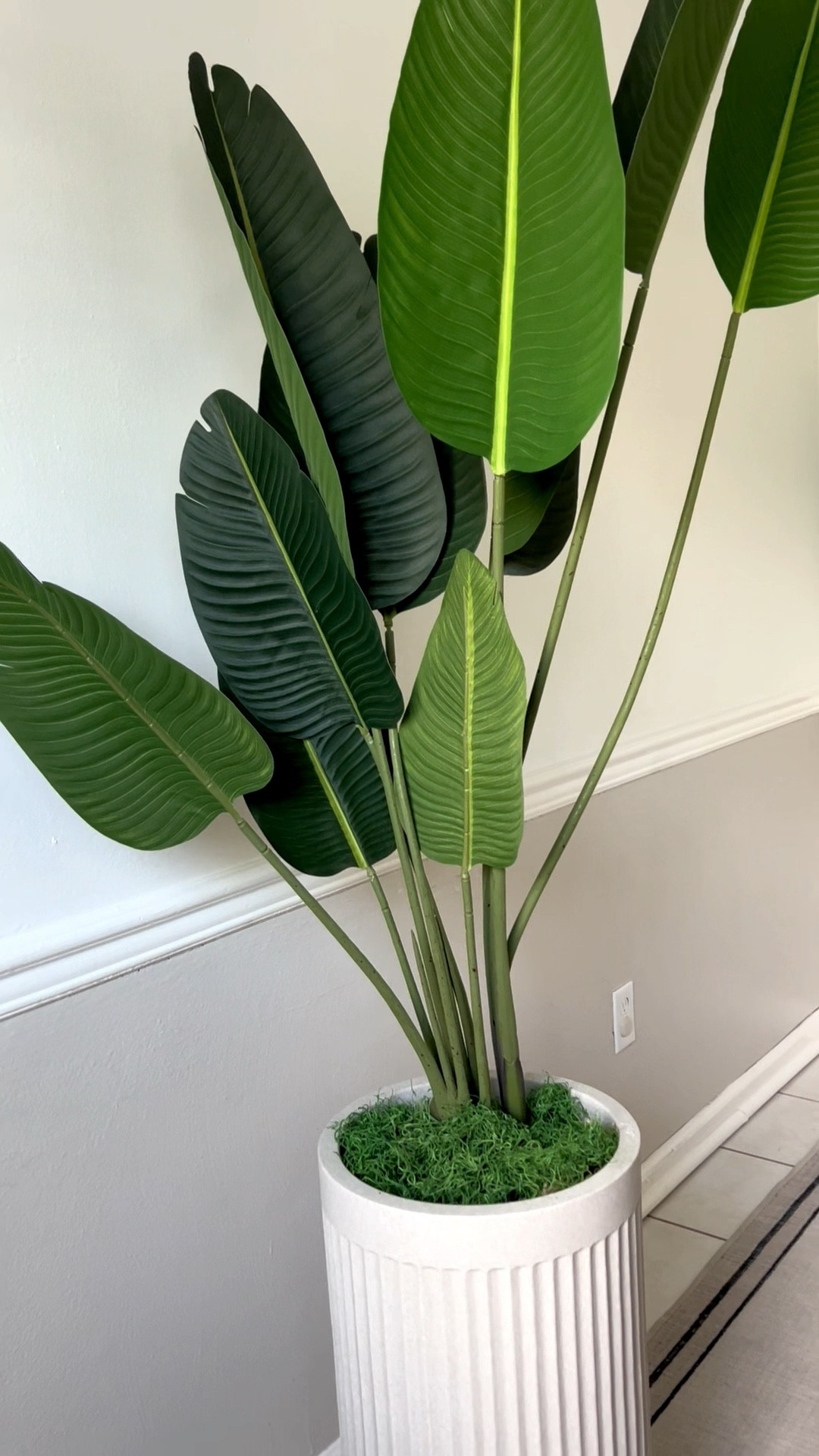 My $39 Faux birds of paradise plant is so chic and great quality. Looks so real! Living room decor/ dining room/ faux plants

#LTKSeasonal #LTKhome #LTKsalealert