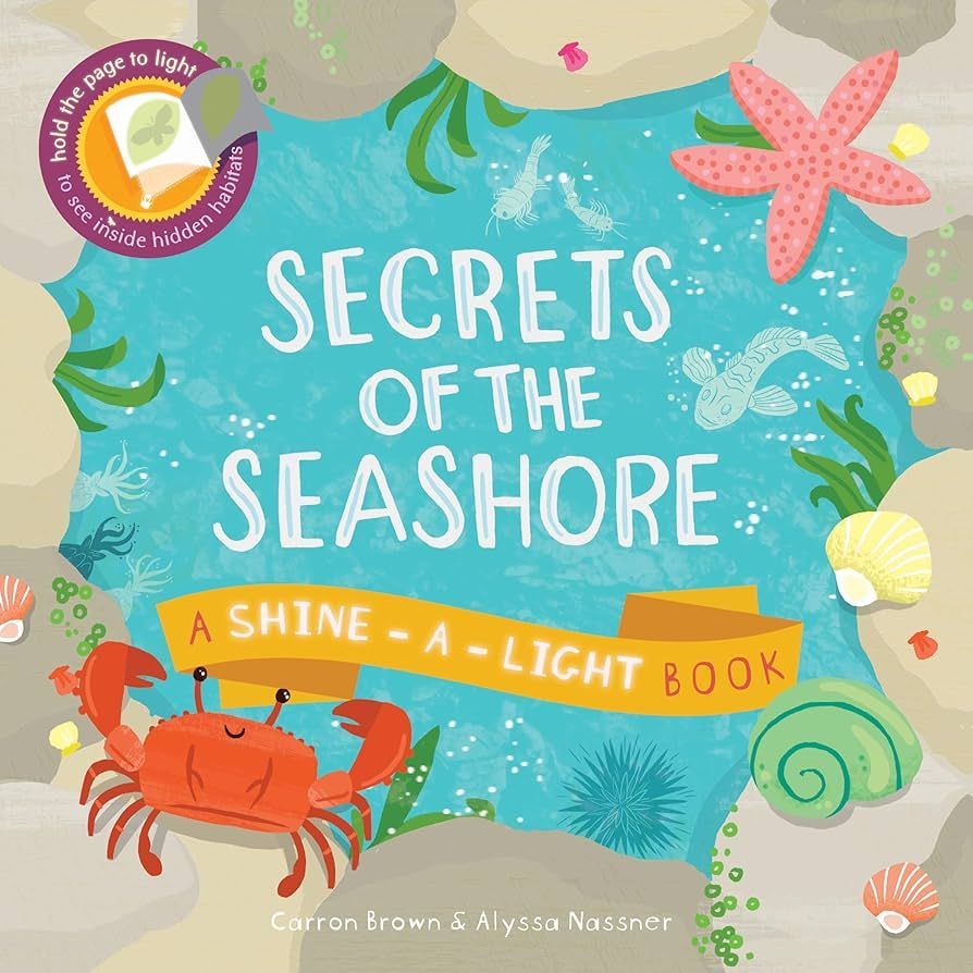 Secrets of the Seashore (Shine-A-Light) | Amazon (US)