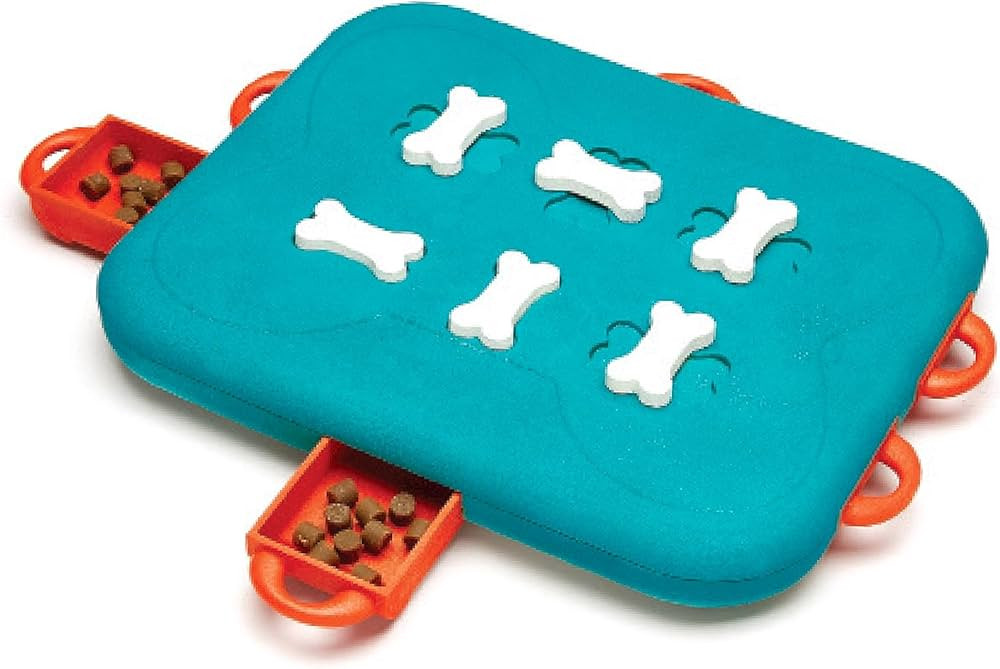 Outward Hound Nina Ottosson Dog Casino Interactive Treat Puzzle Dog Toy, Advanced | Amazon (US)