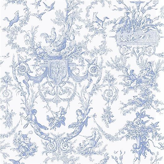 York Wallcoverings Ashford Toiles Old World Toile Prepasted Removable Wallpaper, White/Blue | Amazon (US)