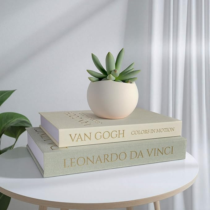Decorative Storage Books Set of 2, Linen Cover, Gold Letters, White and Green | Amazon (US)