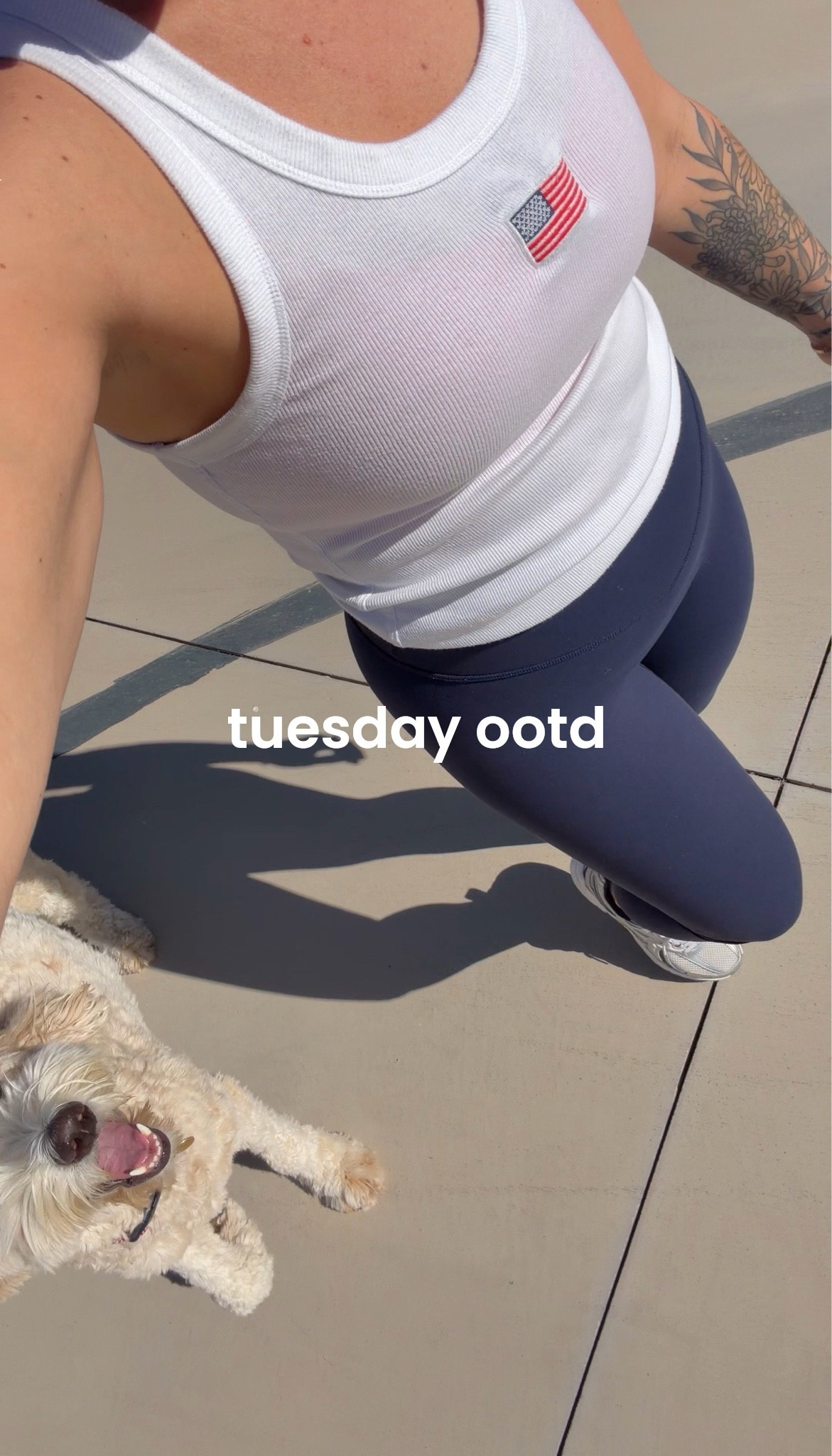 my tank is sold out but linking fave leggings!

#LTKootd #LTKActive #LTKPetite