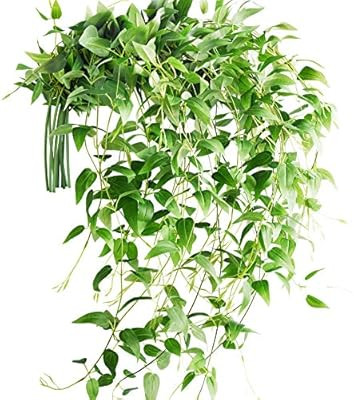 FiveSeasonStuff 10 Stems Artificial Silk Clematis| Fall Garland Greenery Leaves| Vine Floral Arra... | Amazon (US)