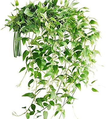 FiveSeasonStuff 10 Stems Artificial Silk Clematis| Fall Garland Greenery Leaves| Vine Floral Arra... | Amazon (US)